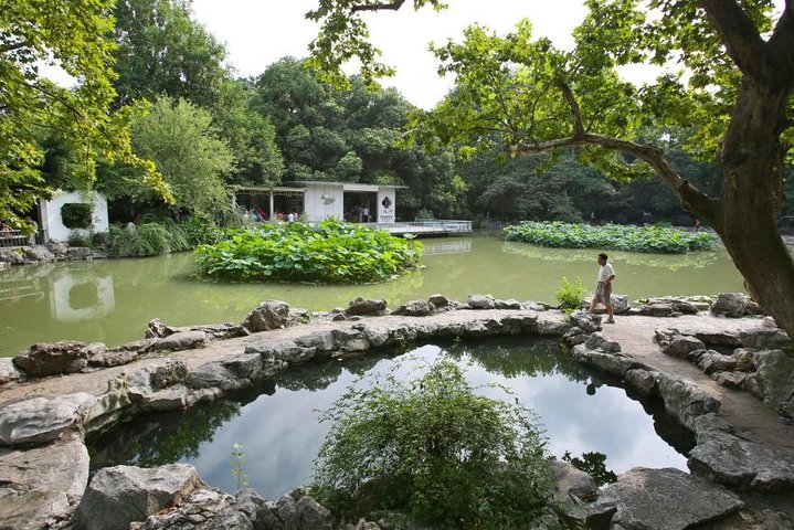 Private Full Day Tour: Shanghai Natural Sites and Beauty Tour - Image 1