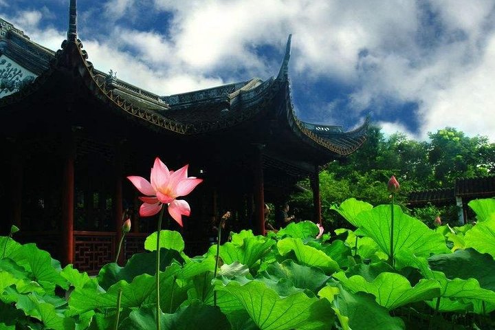 Private Shanghai Layover Tour to Nanxiang Ancient Town - Image 3