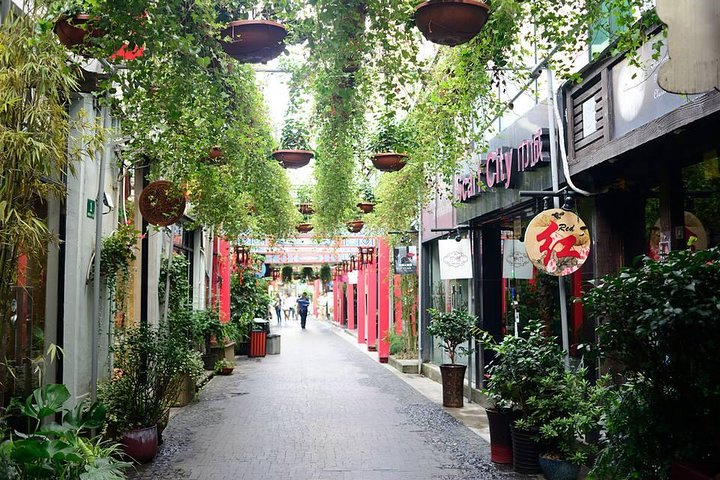 Shanghai Private Day Tour by Limo - Modern & Traditional Experience - Image 3