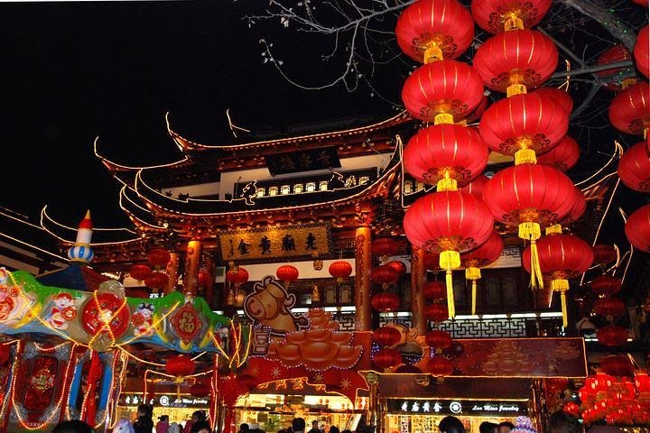 Shanghai Private Day Tour by Limo - Modern & Traditional Experience - Image 4