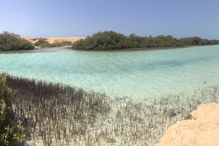 1 Day Private Trip to Ras Mohamed By Car From Sharm-el-Sheikh - Image 2