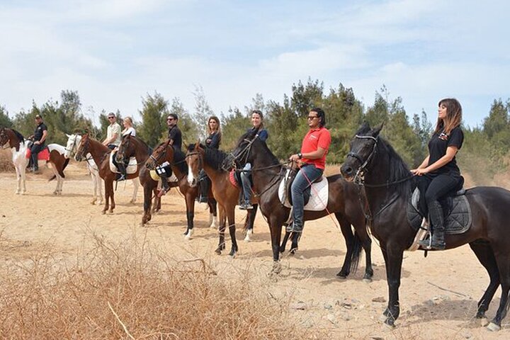 2-Hour Guided Horse Riding Activity in Sharm El Sheikh - Image 5