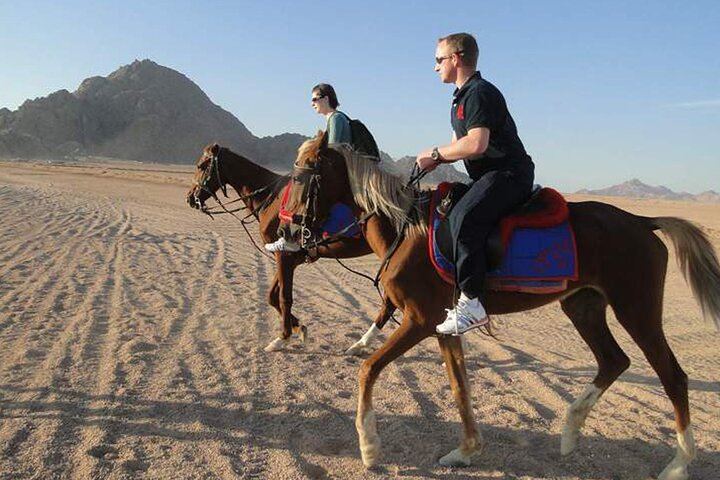 2-Hour Guided Horse Riding Activity in Sharm El Sheikh - Image 3