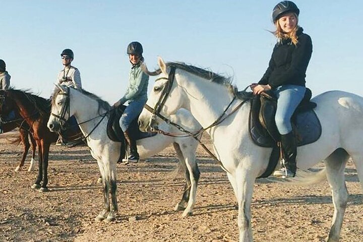 2-Hour Guided Horse Riding Activity in Sharm El Sheikh - Image 4