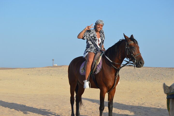 2-Hour Guided Horse Riding Activity in Sharm El Sheikh - Image 2