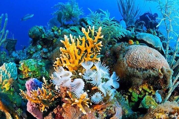 3 Pools National Park and Dahab by Bus From Sharm El Sheikh - Image 2