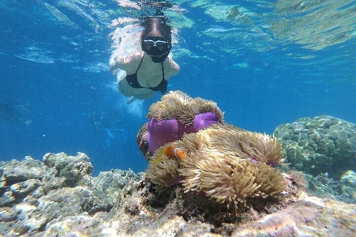3 Pools National Park and Dahab by Bus From Sharm El Sheikh - Image 5