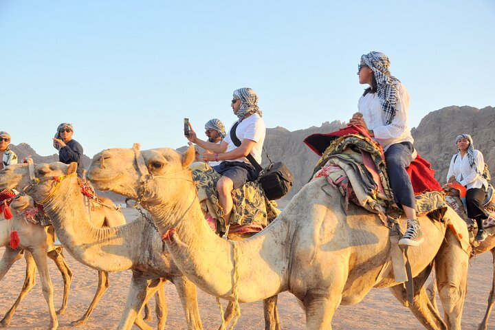 5 in 1 Safari Quad, Camel, Show, Dinner & Stargazing in Sharm - Image 3