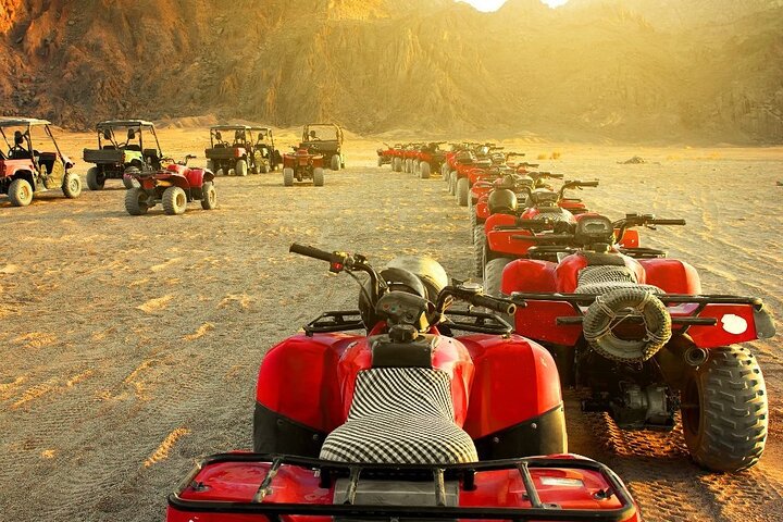 5 in 1 Safari Quad, Camel, Show, Dinner & Stargazing in Sharm - Image 5