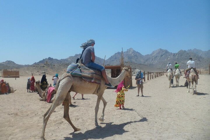 7x1Mega Safari Sharm El Sheikh - Image 5