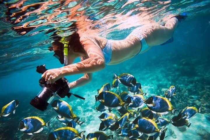 Amazing Giftun Island Snorkeling Trip in Hurghada - Image 5
