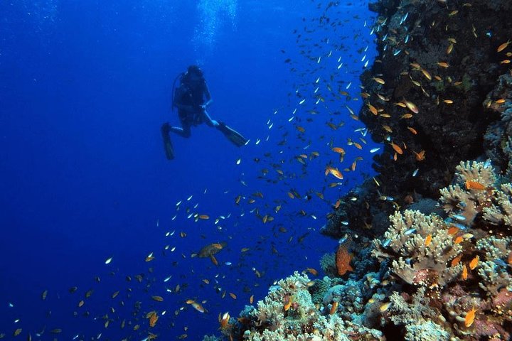 Amazing Giftun Island Snorkeling Trip in Hurghada - Image 1