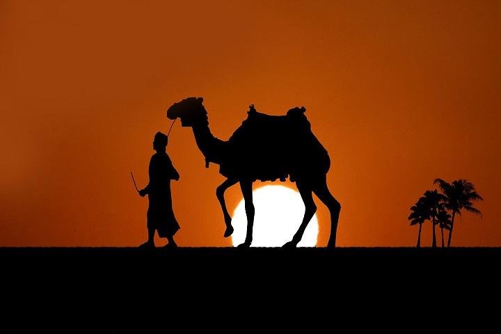 Bedouin Dinner with Camel Safari - Image 2