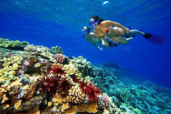 Boat Trip 2 Snorkeling in Tiran Island Sharm el Sheikh - Image 5