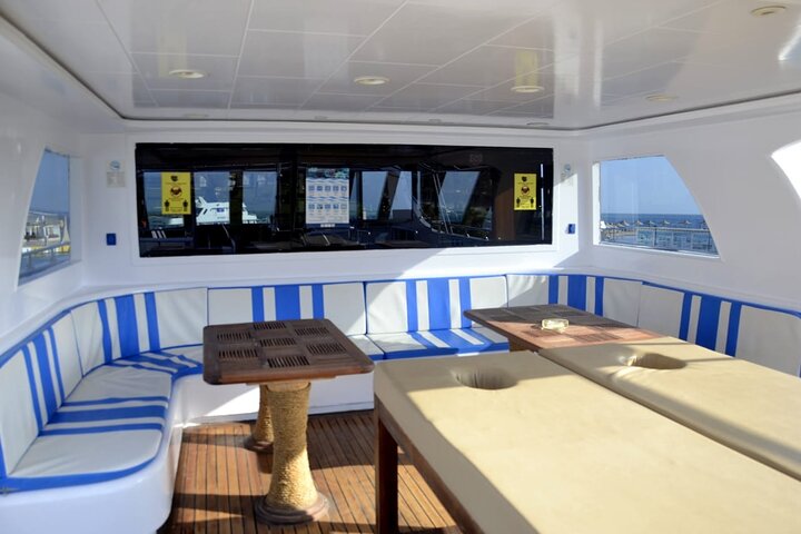 Boat Trip Snorkeling in Ras Mohamed Sharm el Sheikh - Image 4