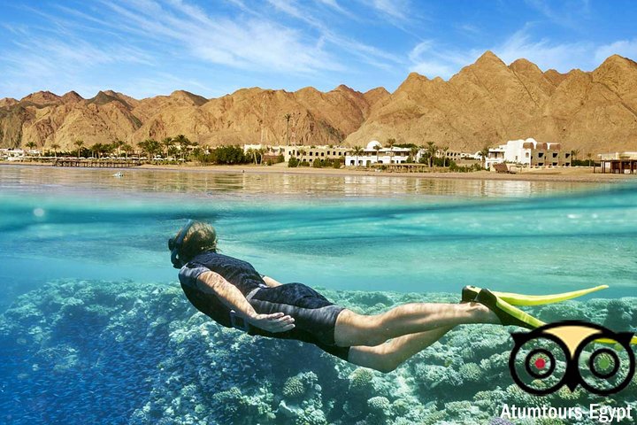 Boat Trip Snorkeling in Ras Mohamed Sharm el Sheikh - Image 3