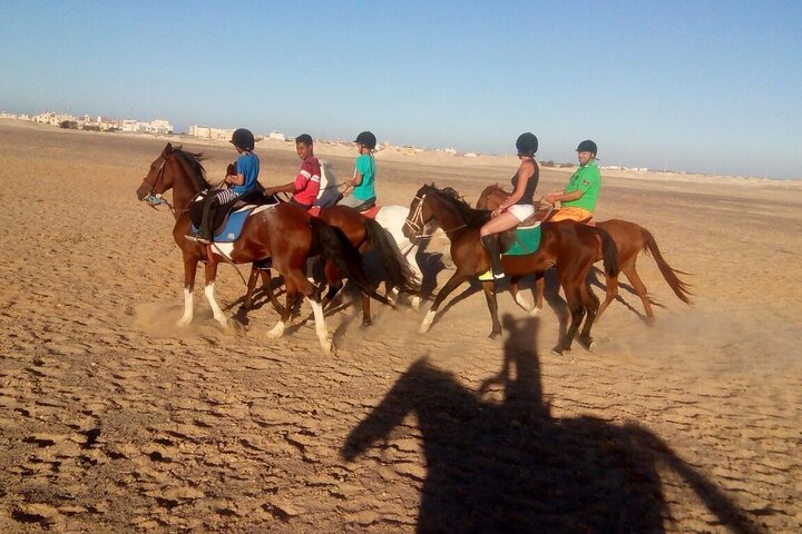 Camel ride & Bedouin dinner quad safari in Sharm el Sheikh - Image 3