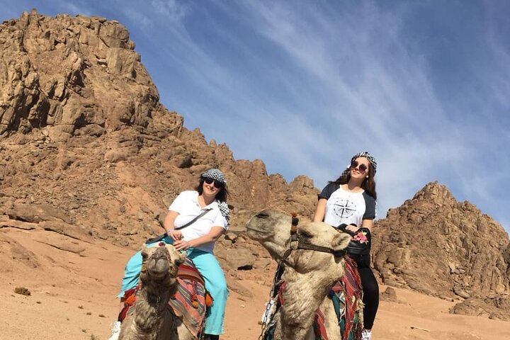 Camel ride & Bedouin dinner quad safari in Sharm el Sheikh - Image 5