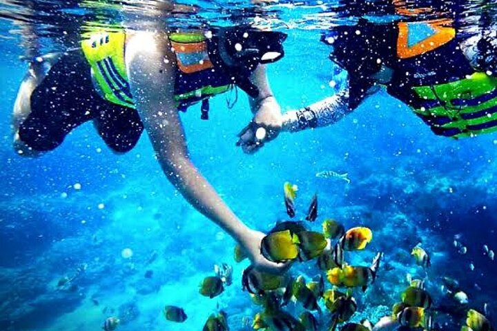 Colored CANYON & SNORKEL & Dahab City FROM SHARM El SHEIKH - Image 5