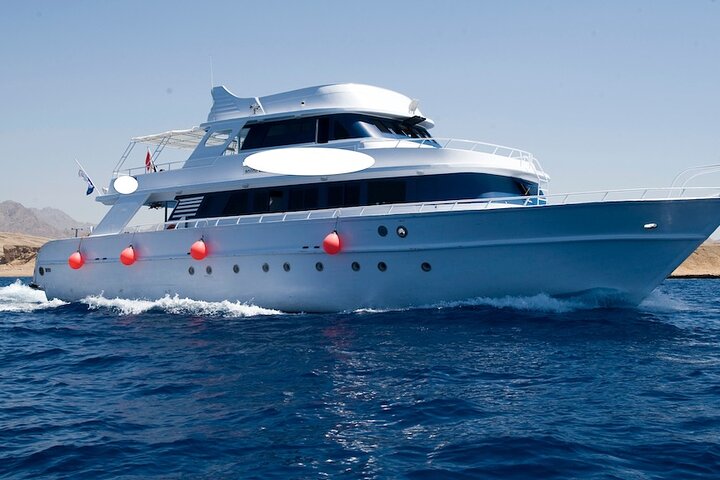 Daily Boat Trips at Sharm EL Sheikh  - Image 5