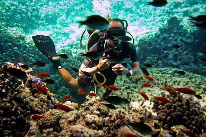 Diving & Snorkeling Boat Trip to Ras Mohamed Sharm El Sheikh - Image 5