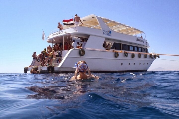 Diving Tour at Ras Mohammed by boat  - Image 2