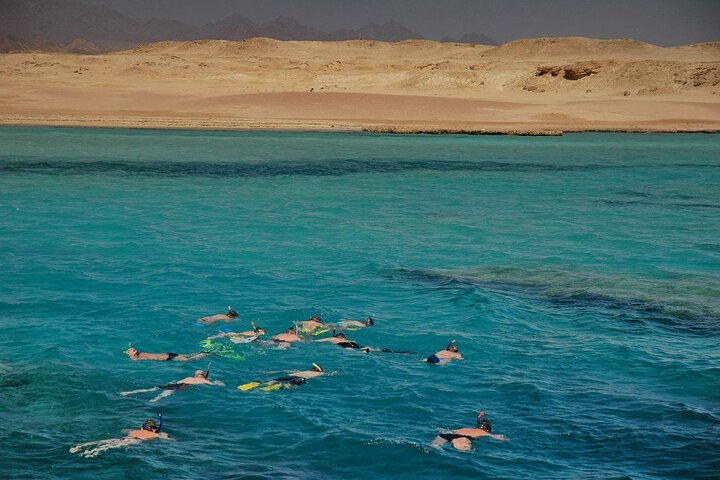 Diving Tour at Ras Mohammed by boat  - Image 4