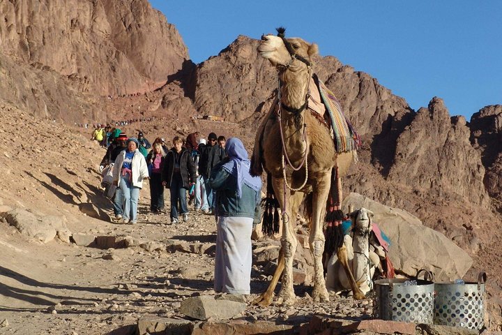 Excursion to Mosesberg and Kathrinen Monastery from Sharm el Sheikh - Image 2