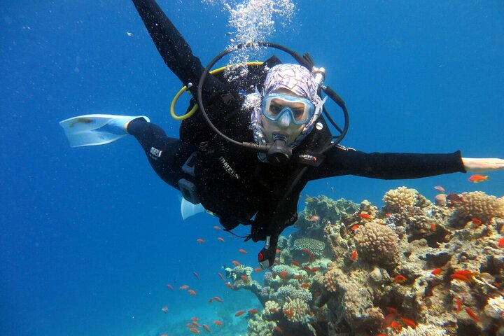 Excursion to Tiran Island by boat - Image 4