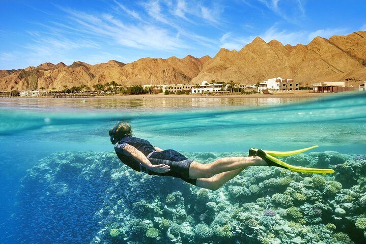 From Sharm: Full day introduction to Scuba Diving with Lunch - Image 1