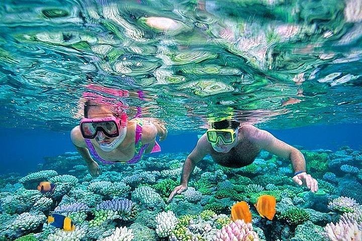 From Sharm: Full day introduction to Scuba Diving with Lunch - Image 3