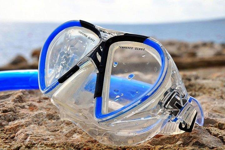 From Sharm: Full day introduction to Scuba Diving with Lunch - Image 5