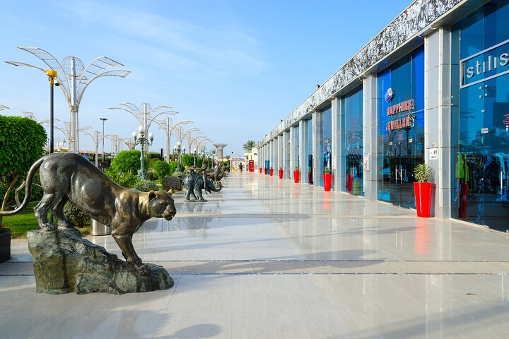 Full Day Private Shore Tour in Sharm from Sharm El-Sheikh Port - Image 5