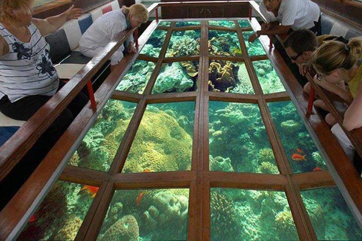Glass Bottom Boat Excursion in Sharm El Sheikh - Image 1
