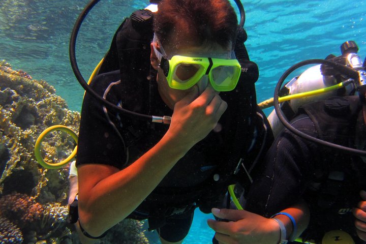 Intro Diving and Snorkeling day Trip - Image 5