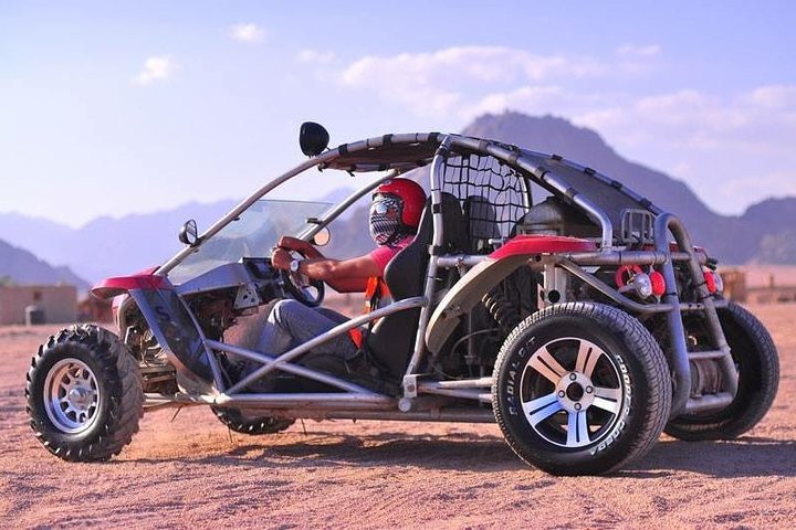 Quad Bike with Camels Riding and Bedouin Dinner from Sharm - Image 1