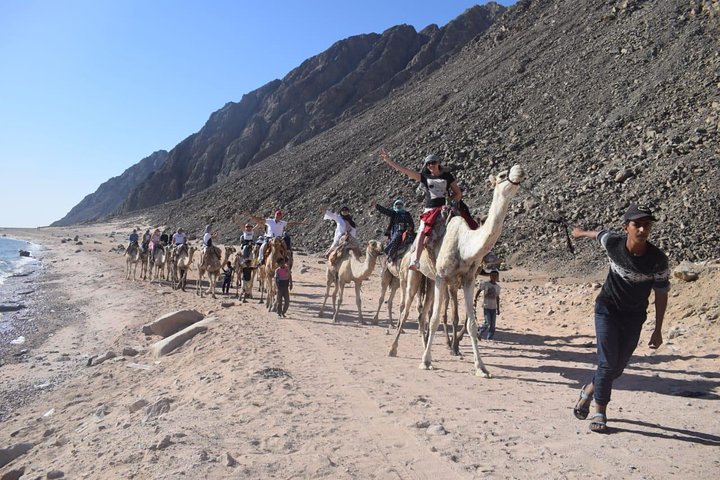 Quad Bike with Camels Riding and Bedouin Dinner from Sharm - Image 5