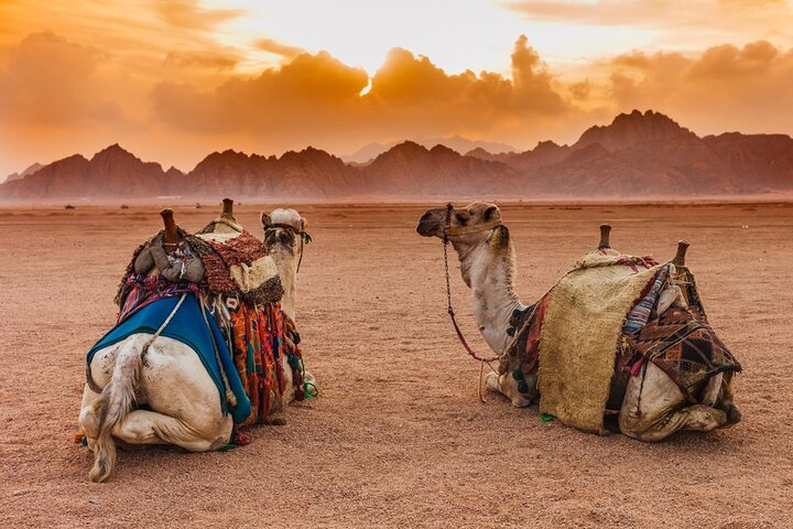Quad Biking in Sinai Desert - Image 2