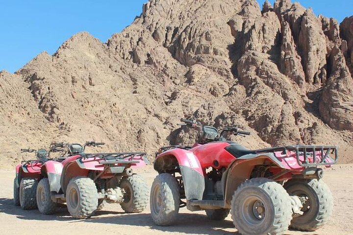 Quad Biking in Sinai Desert - Image 4
