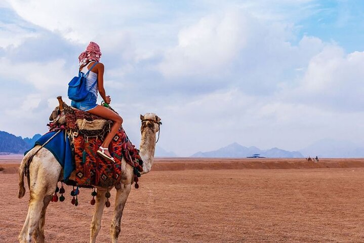 Quad Biking in Sinai Desert - Image 3