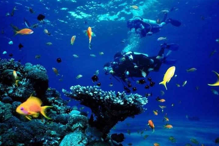  Ras Mohamed boat trip in Sharm el sheikh  - Image 5