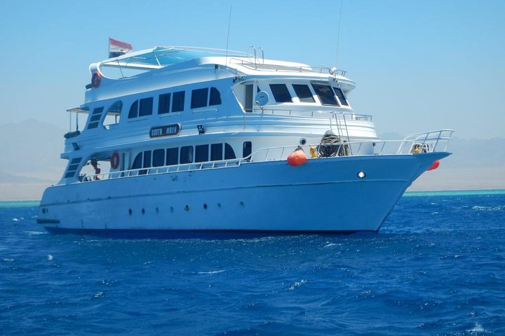 Ras Mohamed By Boat  - Image 1