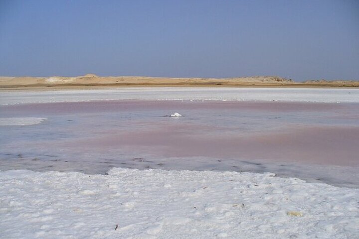 Ras Mohamed National Park Guided Tour from Sharm El Sheikh by Bus - Image 4