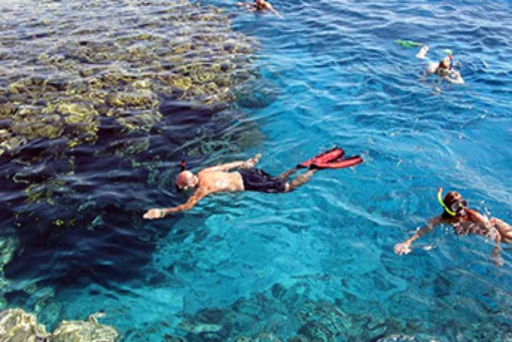  Ras Mohamed Snorkeling By Bus In Sharm El Sheikh  - Image 3