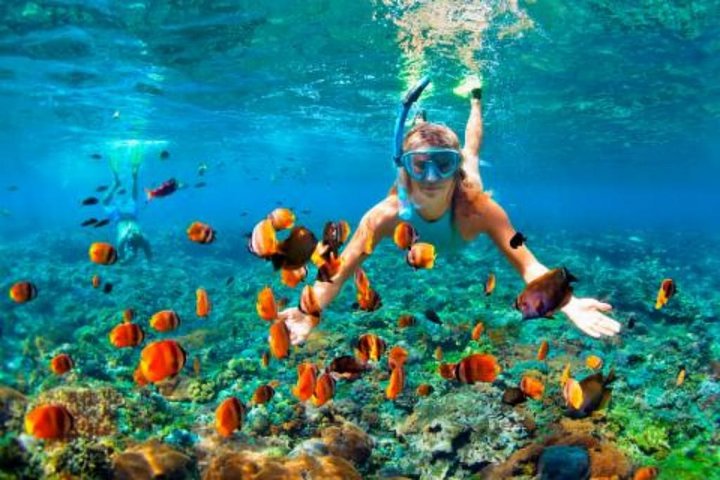  Ras Mohamed Snorkeling By Bus In Sharm El Sheikh  - Image 2