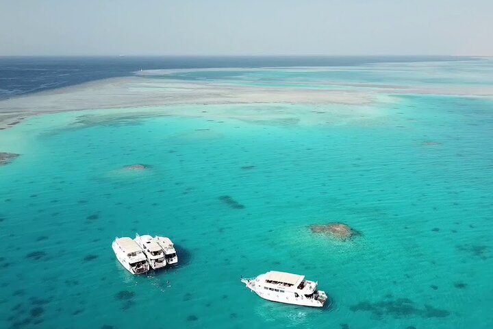 Ras Mohamed & White Island from Sharm El Sheikh by boat - Image 2