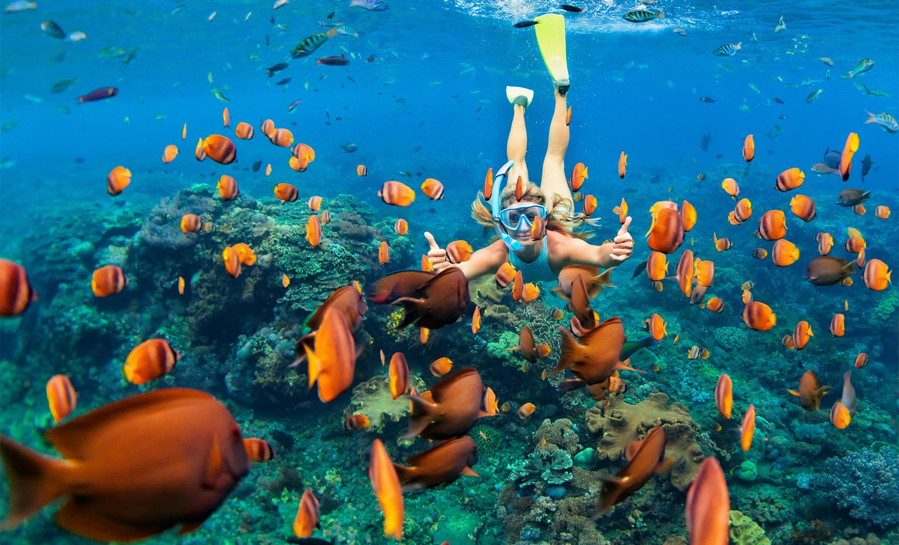 Ras Mohammed Snorkeling Tour - Image 1