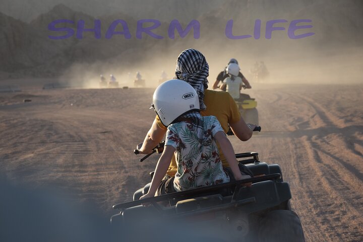Safari 5 in 1 Quads, Camels, Show, Dinner & Star Gazing in Sharm El Sheikh - Image 2