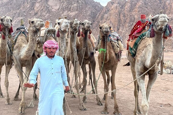 Safari Quads With Camel Ride & star gazing in Sharm El Sheikh - Image 2