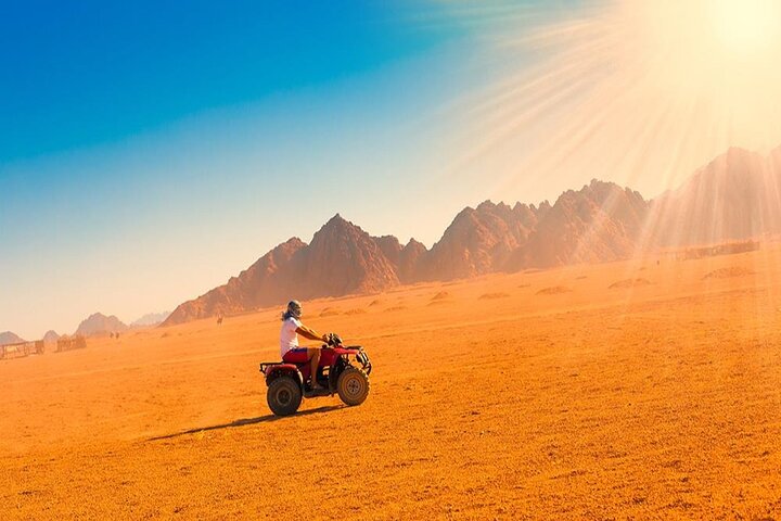 Sightseeing Tour To Dahab From Sharm El Sheikh - Image 5